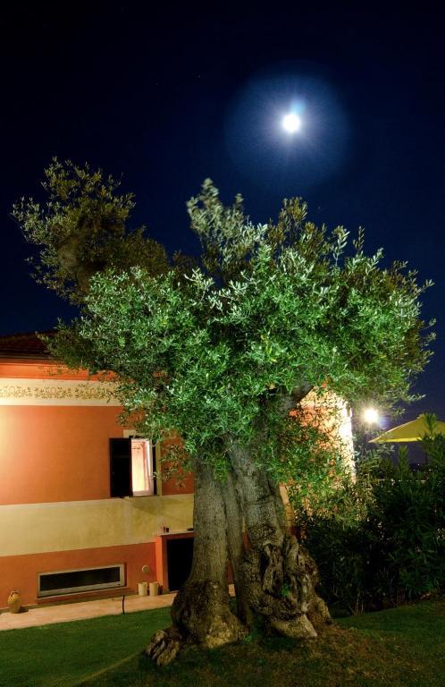 Olivium Apartment La Spezia Exterior photo